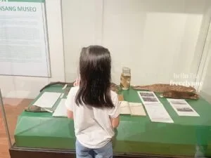 National-Museum-of-Natural-History_0783_Hello-Im-Frecelynne-300x225.jpg.webp