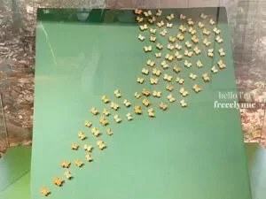 National-Museum-of-Natural-History_0805_Hello-Im-Frecelynne-300x225.jpg.webp
