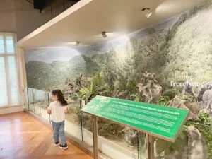National-Museum-of-Natural-History_0812_Hello-Im-Frecelynne-300x225.jpg.webp