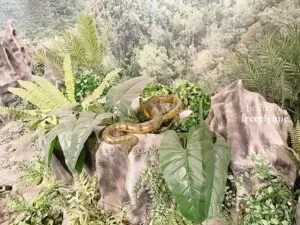 National-Museum-of-Natural-History_0813_Hello-Im-Frecelynne-300x225.jpg.webp