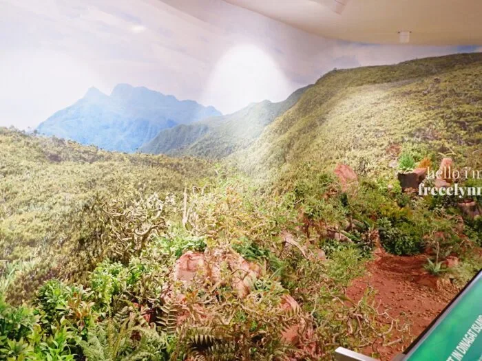 National-Museum-of-Natural-History_0298_Hello-Im-Frecelynne-700x525.jpg.webp