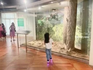 National-Museum-of-Natural-History_0767_Hello-Im-Frecelynne-300x225.jpg.webp