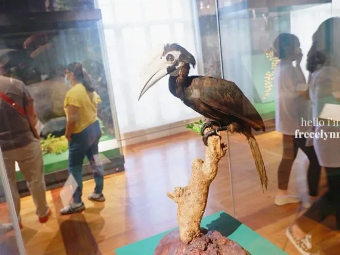 National-Museum-of-Natural-History_0284_Hello-Im-Frecelynne-700x525.jpg.webp