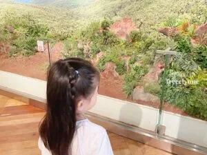 National-Museum-of-Natural-History_0840_Hello-Im-Frecelynne-300x225.jpg.webp