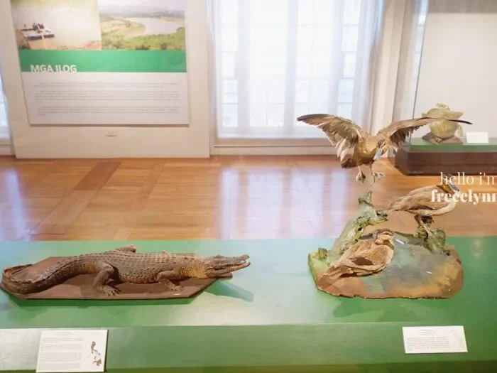National-Museum-of-Natural-History_0314_Hello-Im-Frecelynne-700x525.jpg.webp