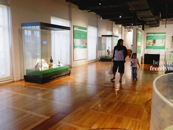 National-Museum-of-Natural-History_0319_Hello-Im-Frecelynne-700x525.jpg.webp