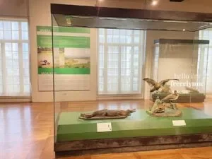 National-Museum-of-Natural-History_0846_Hello-Im-Frecelynne-300x225.jpg.webp