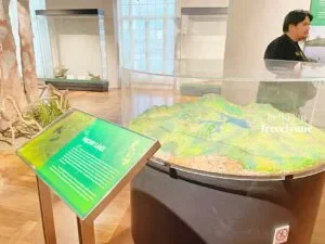 National-Museum-of-Natural-History_0849_Hello-Im-Frecelynne-300x225.jpg.webp