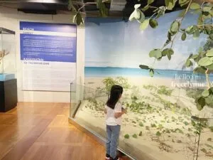 National-Museum-of-Natural-History_0660_Hello-Im-Frecelynne-300x225.jpg.webp