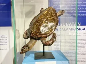 National-Museum-of-Natural-History_0674_Hello-Im-Frecelynne-300x225.jpg.webp