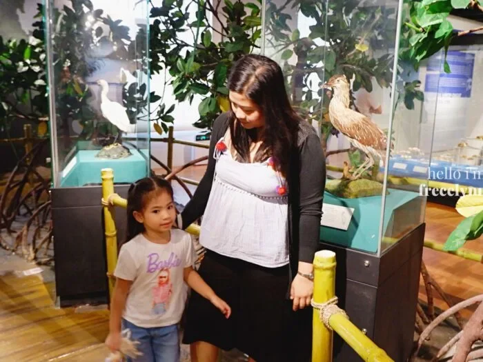 National-Museum-of-Natural-History_0157_Hello-Im-Frecelynne-700x525.jpg.webp