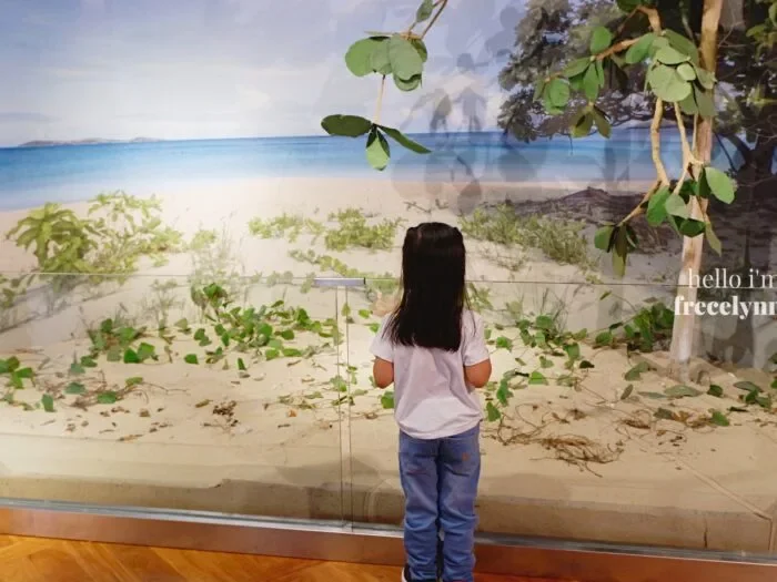 National-Museum-of-Natural-History_0171_Hello-Im-Frecelynne-700x525.jpg.webp