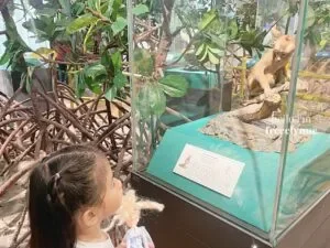 National-Museum-of-Natural-History_0620_Hello-Im-Frecelynne-300x225.jpg.webp