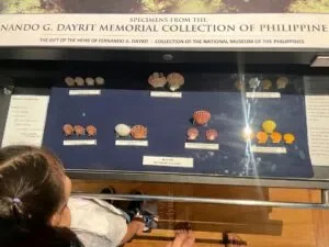 National-Museum-of-Natural-History-Manila-Philippines_273_helloimfrecelynne-300x225.jpg.webp