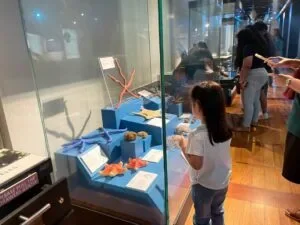 National-Museum-of-Natural-History-Manila-Philippines_283_helloimfrecelynne-300x225.jpg.webp