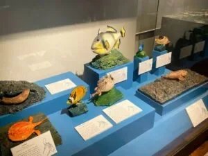 National-Museum-of-Natural-History-Manila-Philippines_289_helloimfrecelynne-300x225.jpg.webp