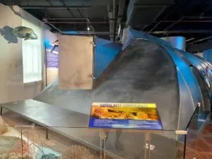 National-Museum-of-Natural-History-Manila-Philippines_291_helloimfrecelynne-300x225.jpg.webp