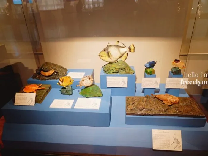National-Museum-of-Natural-History_0196_Hello-Im-Frecelynne-700x525.jpg.webp