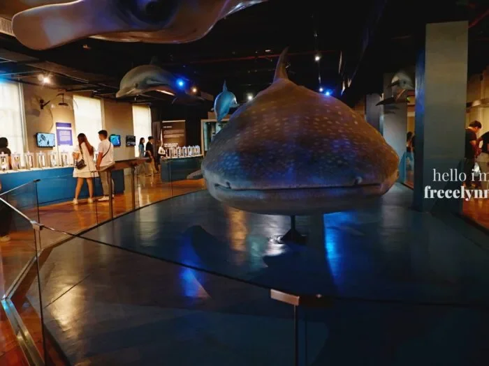 National-Museum-of-Natural-History_0198_Hello-Im-Frecelynne-700x525.jpg.webp