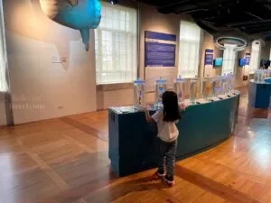 National-Museum-of-Natural-History-Manila-Philippines_249_helloimfrecelynne-300x225.jpg.webp