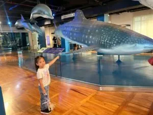 National-Museum-of-Natural-History-Manila-Philippines_256_helloimfrecelynne-300x225.jpg.webp