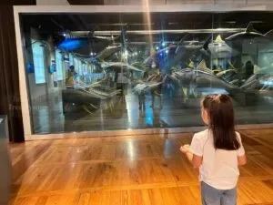 National-Museum-of-Natural-History-Manila-Philippines_264_helloimfrecelynne-300x225.jpg.webp