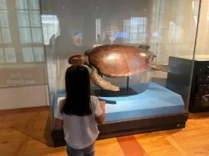 National-Museum-of-Natural-History-Manila-Philippines_269_helloimfrecelynne-300x225.jpg.webp