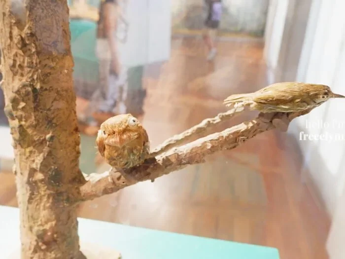National-Museum-of-Natural-History_0258_Hello-Im-Frecelynne-700x525.jpg.webp