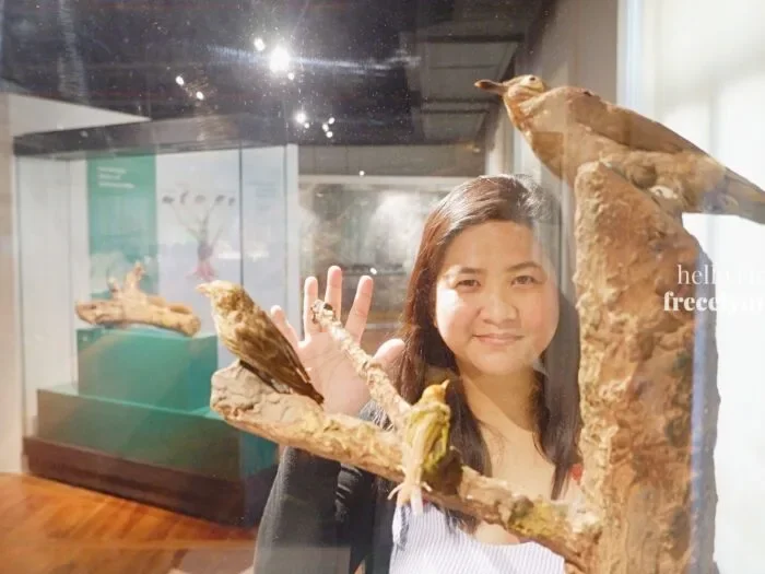 National-Museum-of-Natural-History_0262_Hello-Im-Frecelynne-700x525.jpg.webp