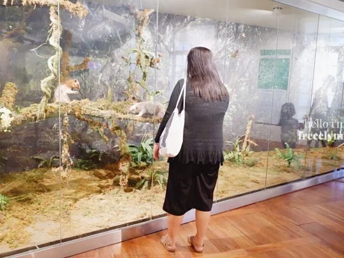 National-Museum-of-Natural-History_0249_Hello-Im-Frecelynne-700x525.jpg.webp