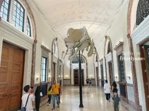 National-Museum-of-Natural-History_0569_Hello-Im-Frecelynne-300x225.jpg.webp