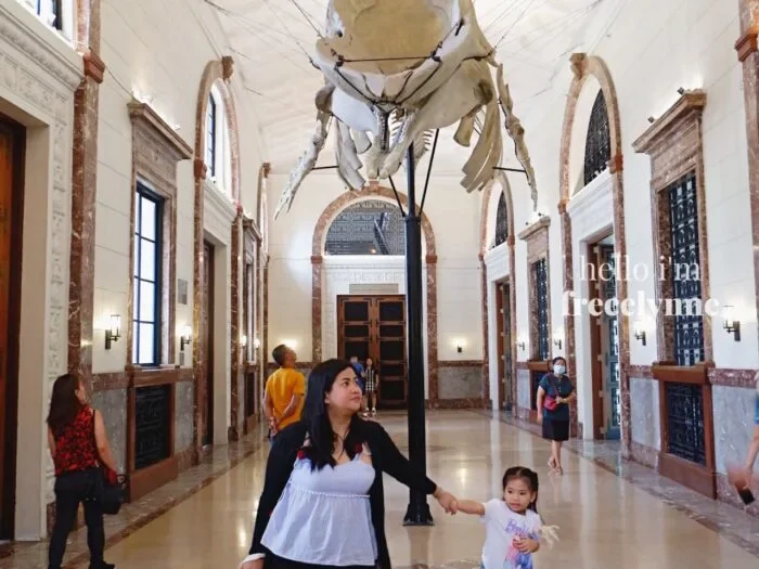 National-Museum-of-Natural-History_0115_Hello-Im-Frecelynne-700x525.jpg.webp