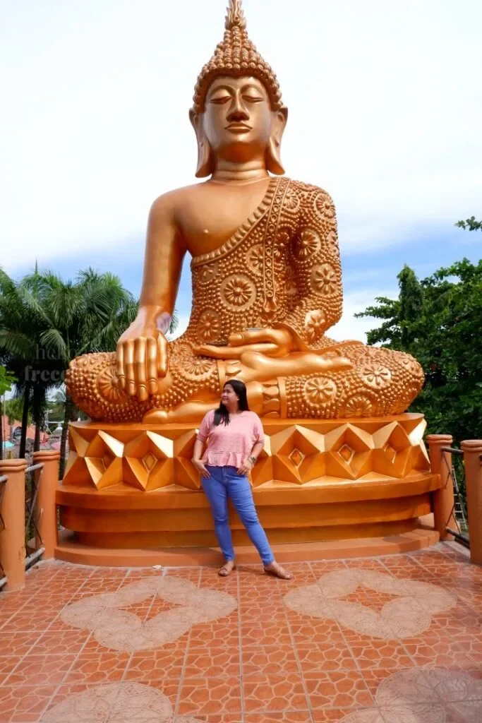 Isdaan-Floating-Restaurant-Gerona-Tarlac_114_helloimfrecelynne-683x1024.jpg.webp