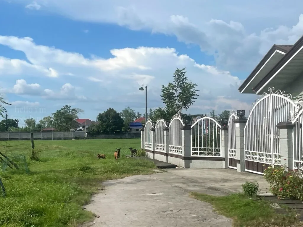 Joslep-Resort-Paniqui-Tarlac_004_helloimfrecelynne-1024x768.jpg.webp