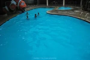 HelloImFrecelynne_Flamingoes-Marikina_06-300x201.jpg.webp