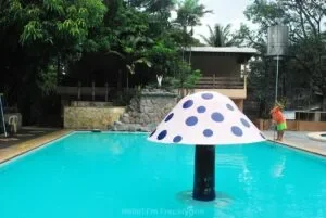 HelloImFrecelynne_Flamingoes-Marikina_03-300x201.jpg.webp