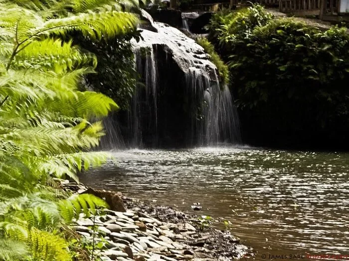 Visit Balite Falls 
