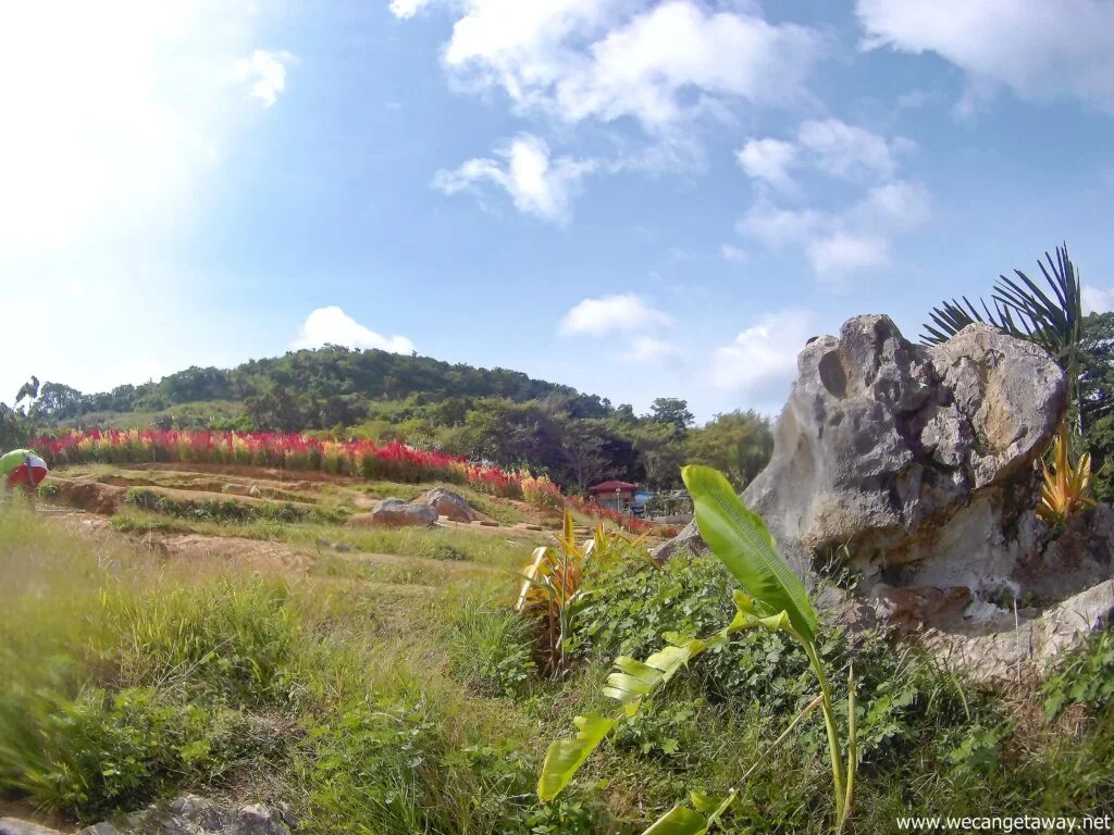sirao_pgcs_sjcam5000xelite-30-1024x768.jpg.webp