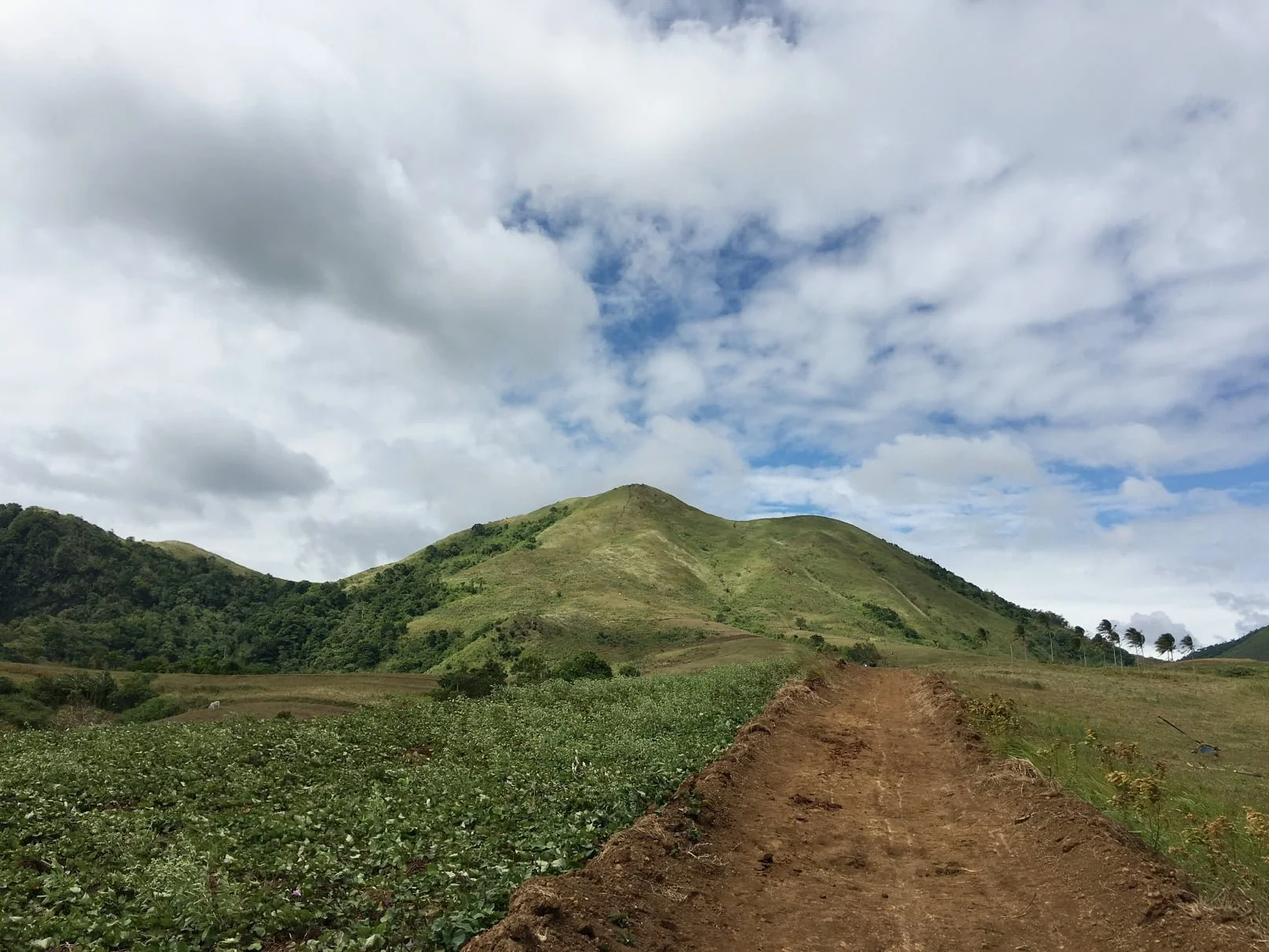 mt_talamitam-51-1.jpg