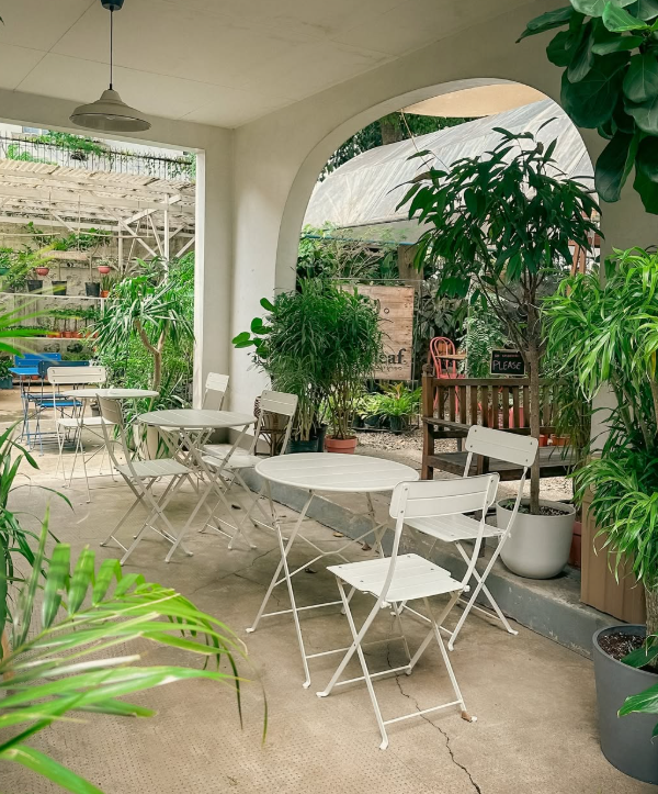Our Little Cafe.png