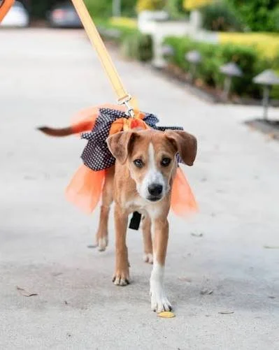 SEEN: Rescued