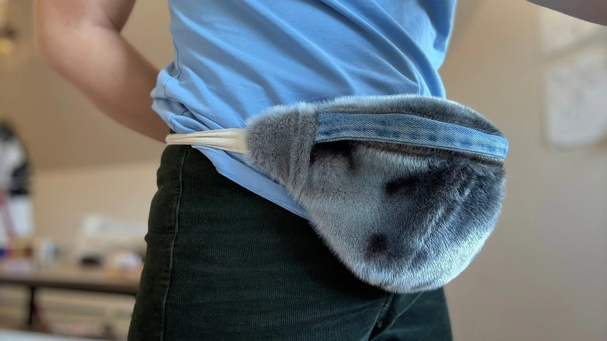 A person wearing a blue shirt and black pants, with a furry wrapped in a blue denim hat and gray fur, secured with a white strap, tucked into their waistband.