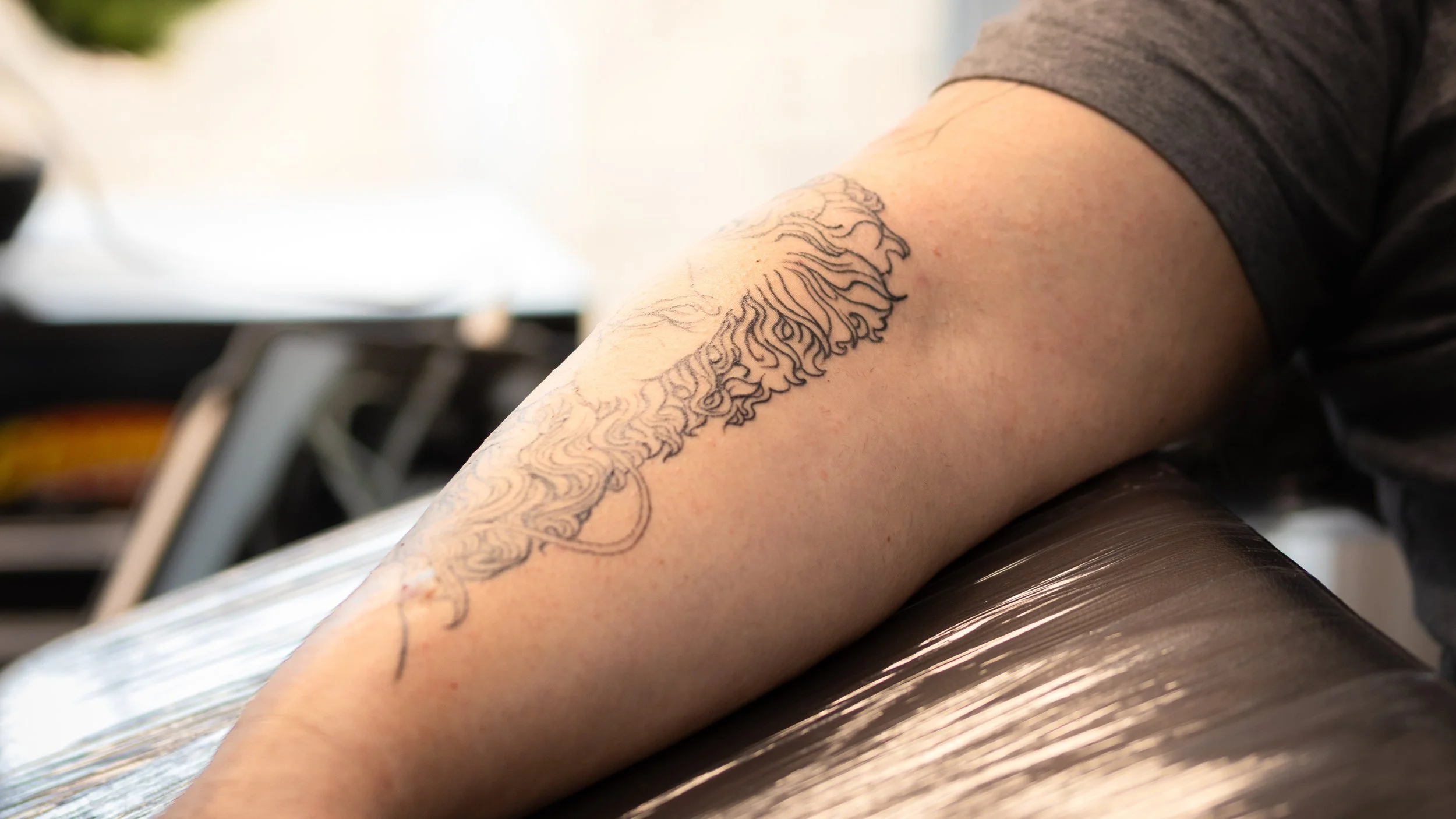 A person with a lion head tattoo on their forearm resting on a shiny surface.