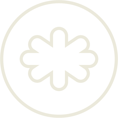 A black and white icon of a snowflake inside a circle.
