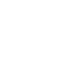A stylized globe with latitude and longitude lines.