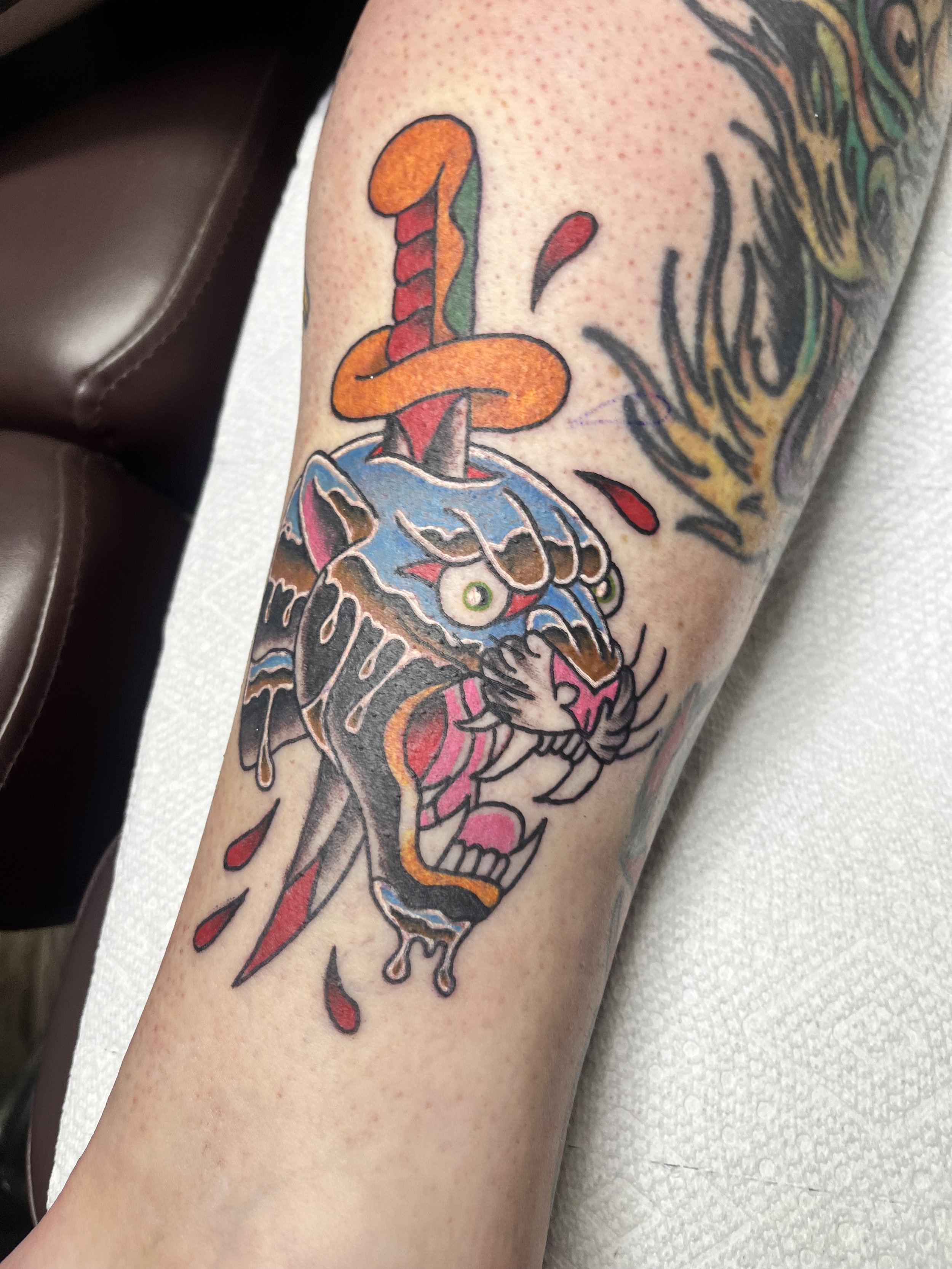 Tattoo of a skull with a snake intertwined around it and a dagger through the skull, in a traditional tattoo style with bold lines and vibrant colors.