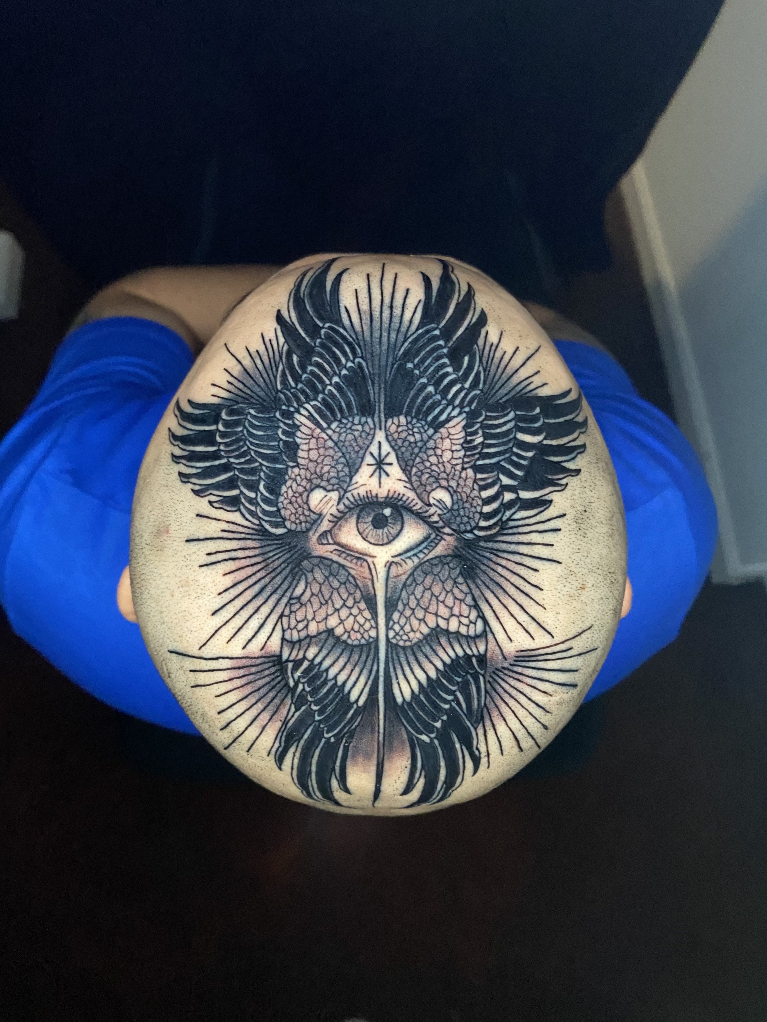 Tattoo of an eye with detailed wings and feathers on a person's arm.
