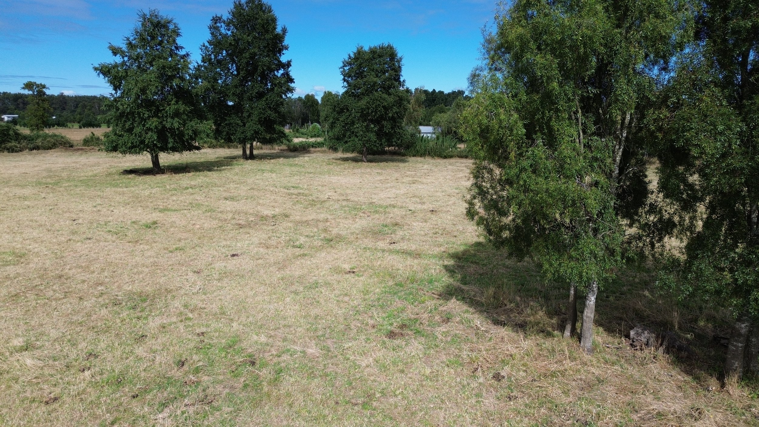 DJI_0042.JPG