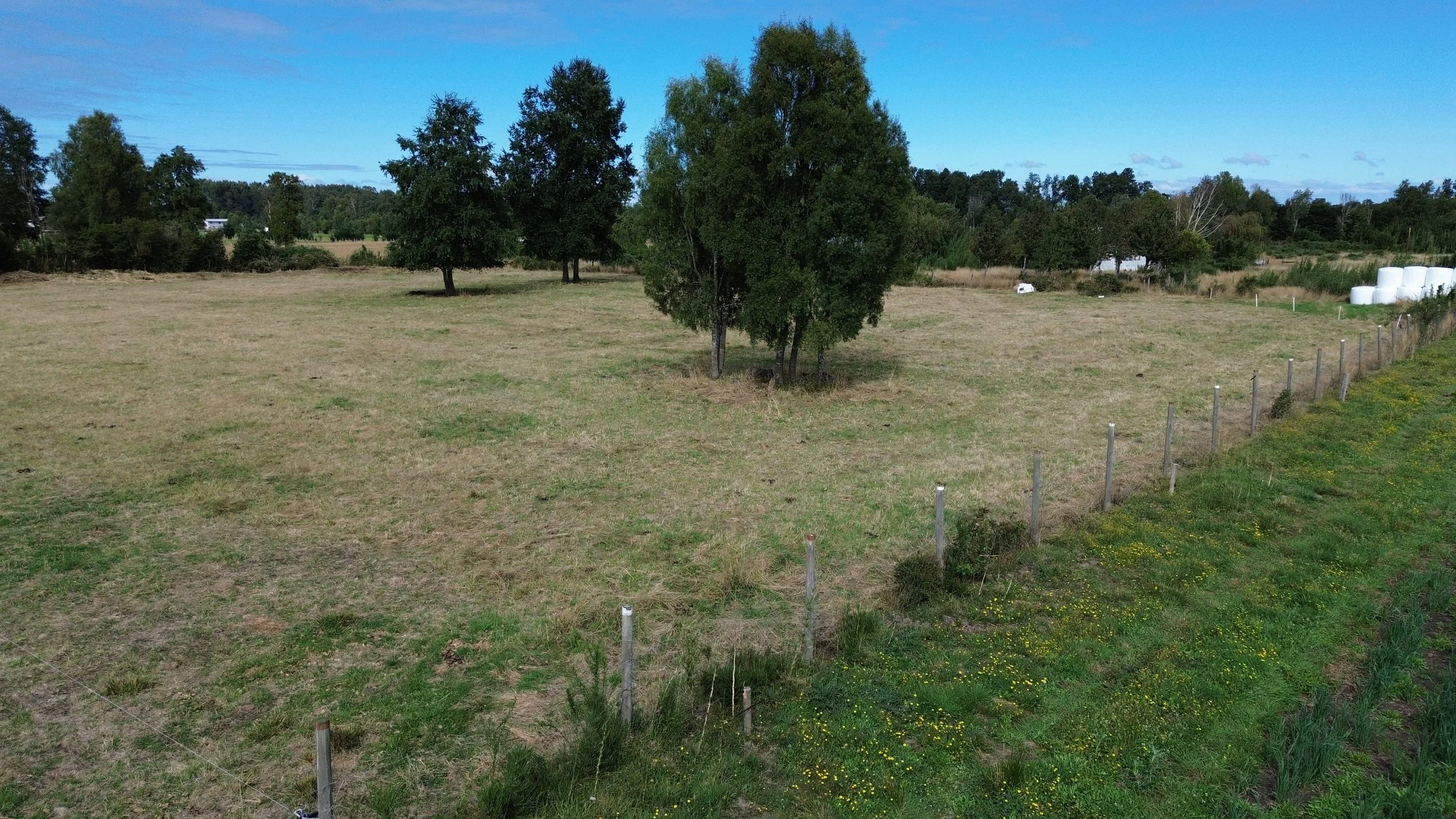 DJI_0047.JPG
