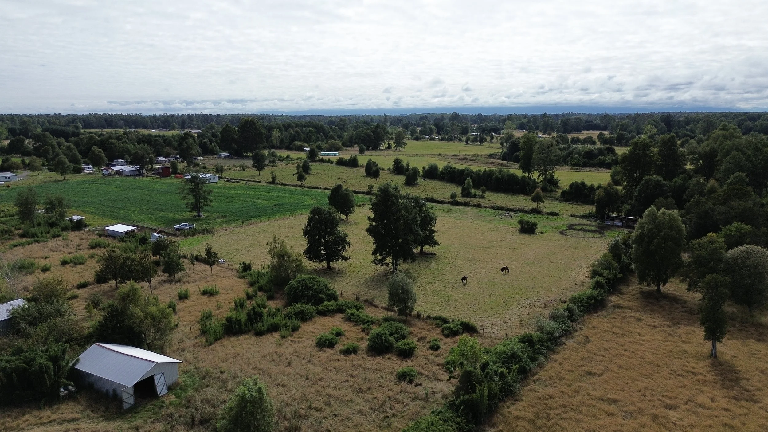 DJI_0038.JPG